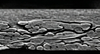 Flat Ultrafiltration Membrane Disc-shaped Flat Membrane 0.1 Μm, 0.22 Μm, 0.45 Μm